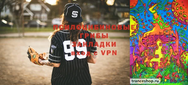 PSILOCYBIN Нязепетровск