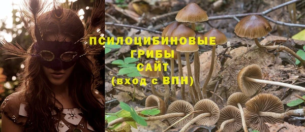 каннабис Весьегонск