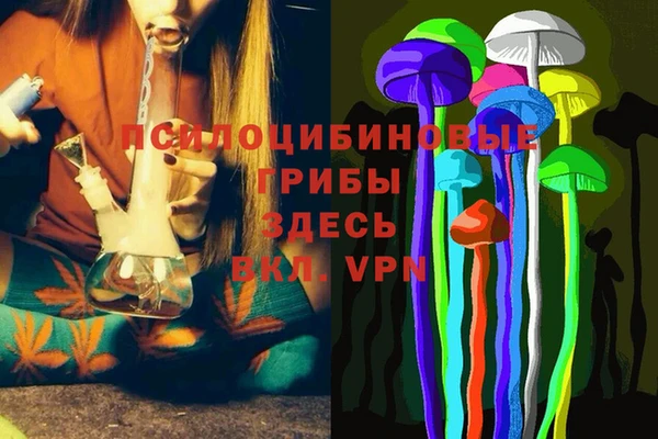 PSILOCYBIN Нязепетровск