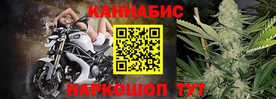 прущие грибы Кандалакша