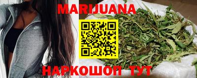 прущие грибы Кандалакша