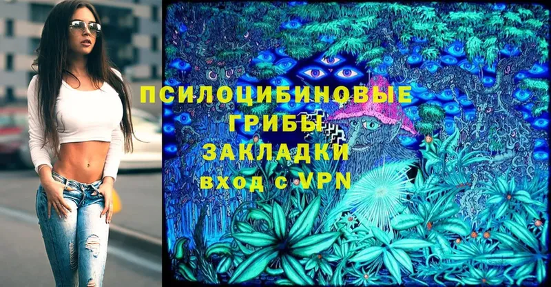 Галлюциногенные грибы Cubensis  гидра ONION  Партизанск 