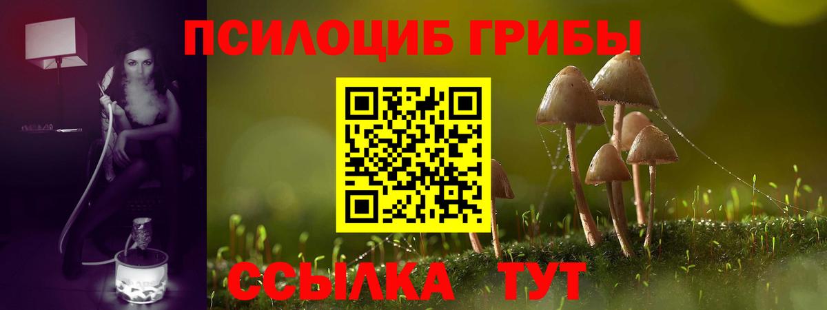Псилоцибиновые грибы Cubensis  Вход с VPN  Партизанск 